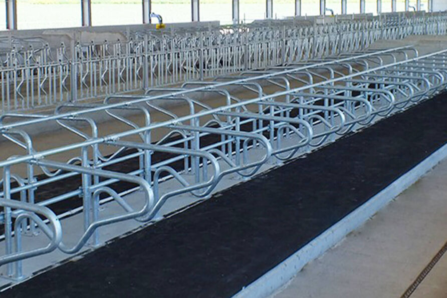 Çift Katmanlı İnek Yatağı-Ranchbed - 1