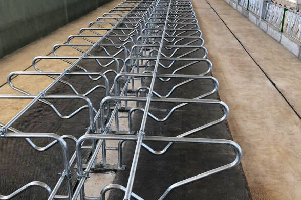 Durak Demiri Seti - 6