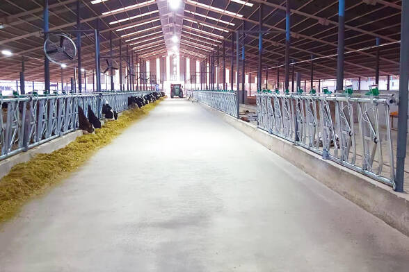 Yemlik Kilit Demiri Seti - 7